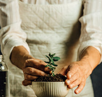 Plant-Based & Environmentally Friendly